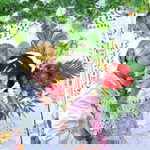 Chandra Maharsiwi profile icon