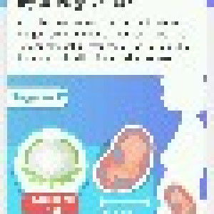 Fadhilah profile icon