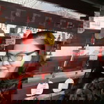 ขนมจีน น้ำยา profile icon