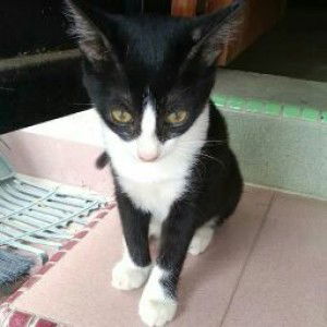 eqeyn faiz profile icon