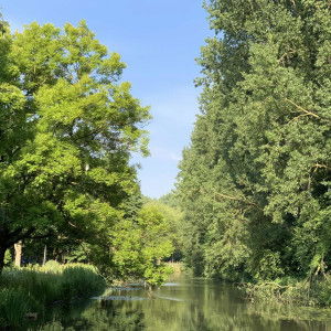 Hailey H.❤️ profile icon