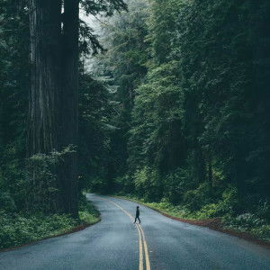 Frog rabbit profile icon