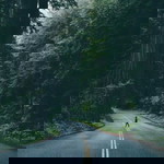 Frog rabbit profile icon