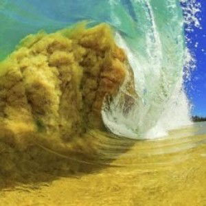 Nur Hanis Mohammad profile icon