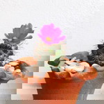 ใบ เฟิร์น profile icon