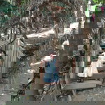 Hari Syaza profile icon