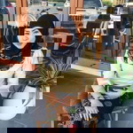 Dadar Waehama profile icon