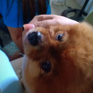 R O D R I G U E Z profile icon