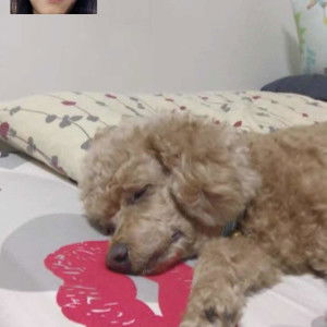 Thancha Kuson profile icon