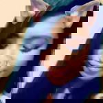 the may flower profile icon