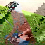 ออย รี่ profile icon