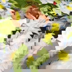 Andriyani profile icon