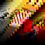 fira kaptina swanidarani profile icon