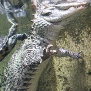 Crystal Tan profile icon