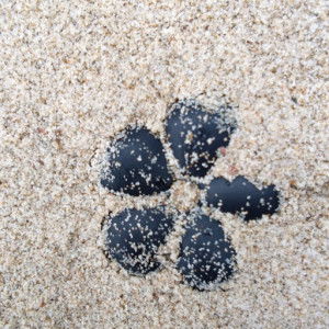 Mimin Amalia profile icon