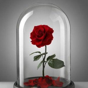 fathimah profile icon