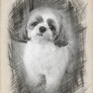 Janet Basuel profile icon