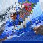 Siti Mer profile icon