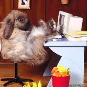 Syazmira Manja profile icon