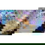 Nhiishaa Khairunnisa profile icon