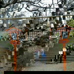 ก้อย โคกกระชาย profile icon