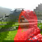 Alya Iqlima profile icon