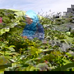 Nur Scha profile icon