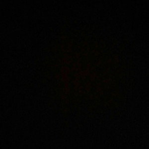 Putri profile icon