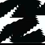 Ae Hairi profile icon