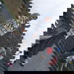 Kin Tan profile icon