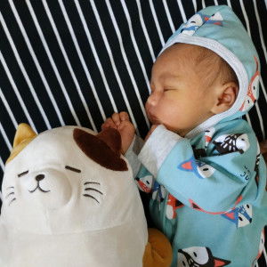 Nopi Noviyanti profile icon