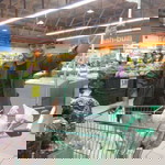 Tuan Azraie Al-Sijankani profile icon