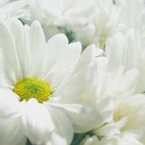 Kyle Joshua Bella profile icon