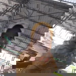 Elok Roudlotul Jannah profile icon