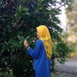 Eyfa Waizz profile icon