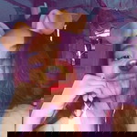 Marjie Tulio profile icon