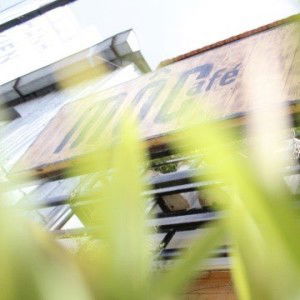 Diem Ton profile icon