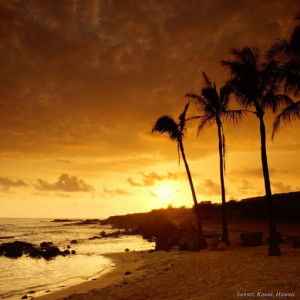 Nurul Amira profile icon