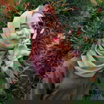 Raras Virgink profile icon