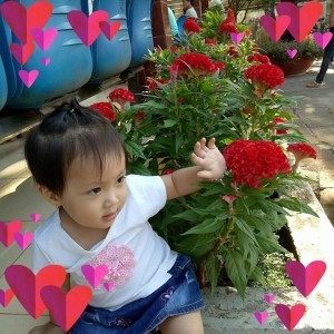 Nguyễn Trang profile icon