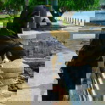 afiqah razal profile icon