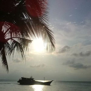 Fyqa Afiqah profile icon