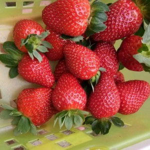 mommy288 profile icon