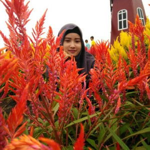 Rena Sulastri profile icon