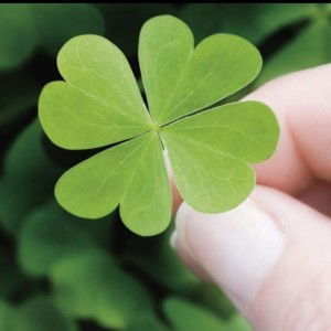 Ngân Dương profile icon