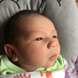 Elischa Musni Yuniarti profile icon