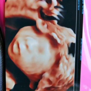 kd delarose profile icon