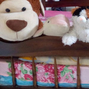 ima Imamire profile icon