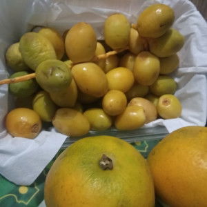 Khodijah profile icon