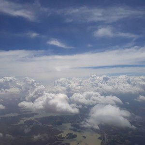 Trang Nguyễn profile icon